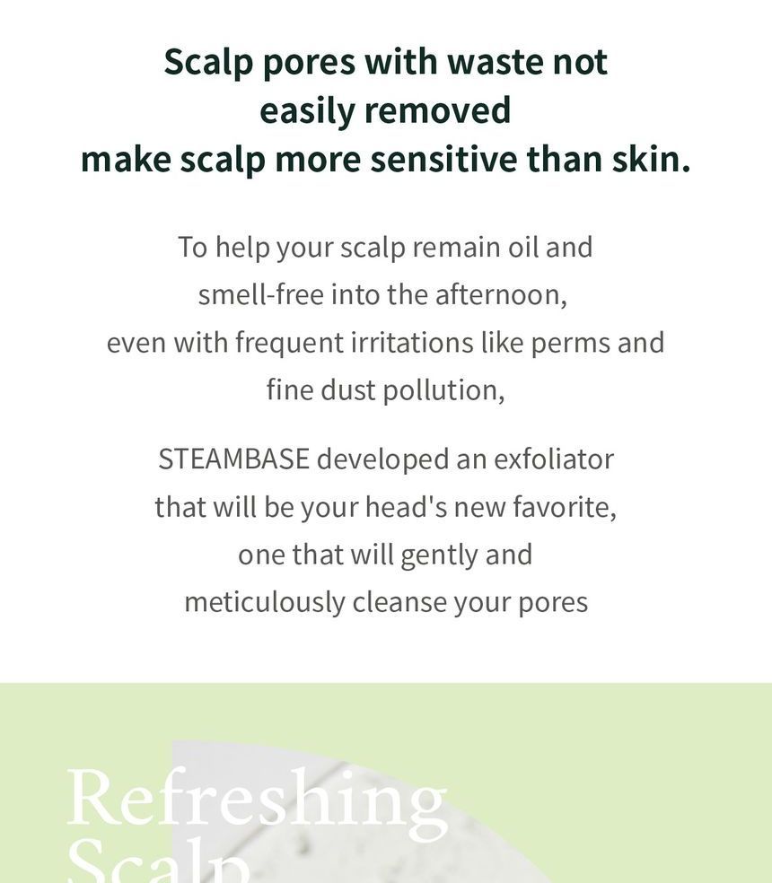 STEAMBASE - Tea Tree Scalp Water Scaler Mini