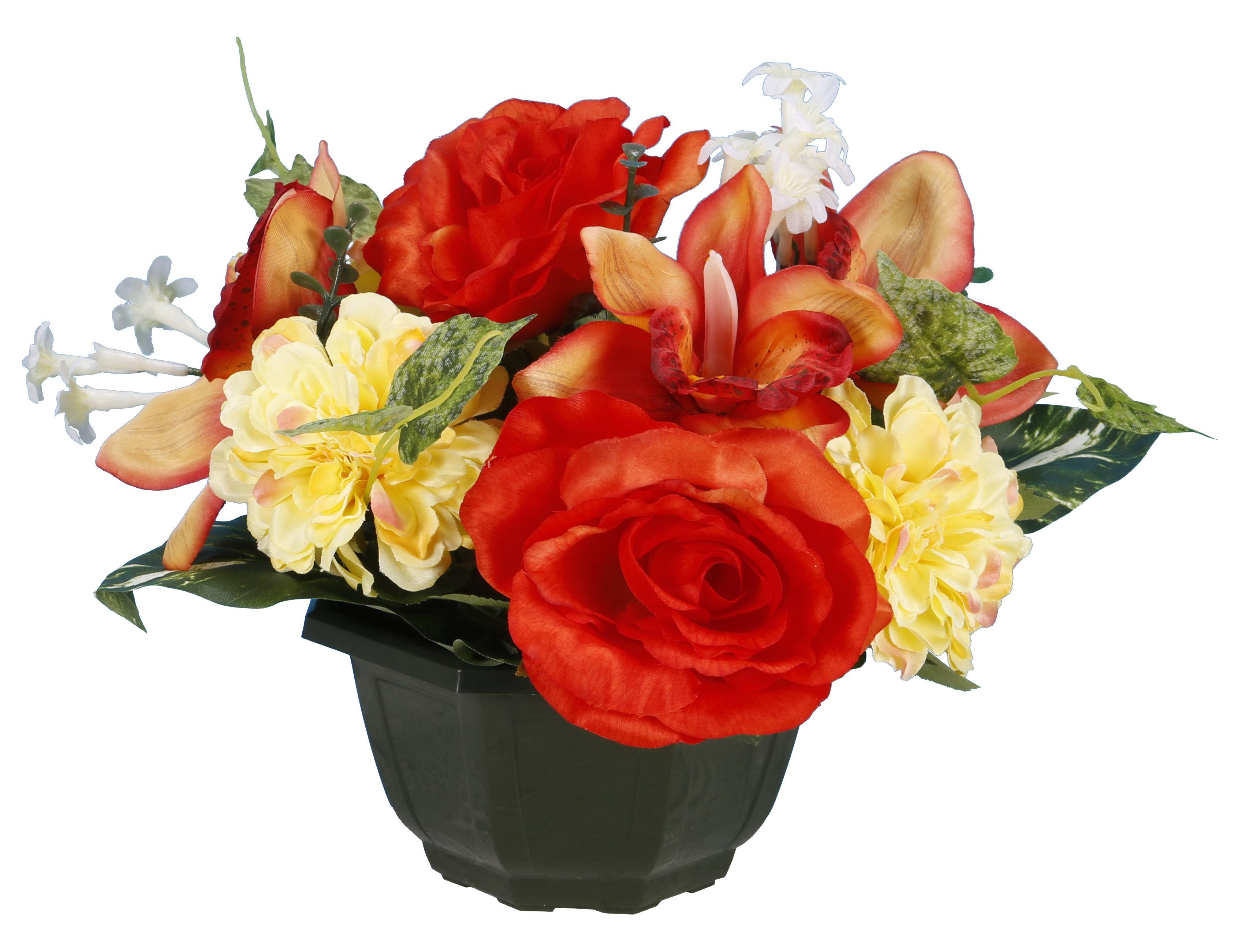 COUPE ROSE ORCHIDEE ZINNIA