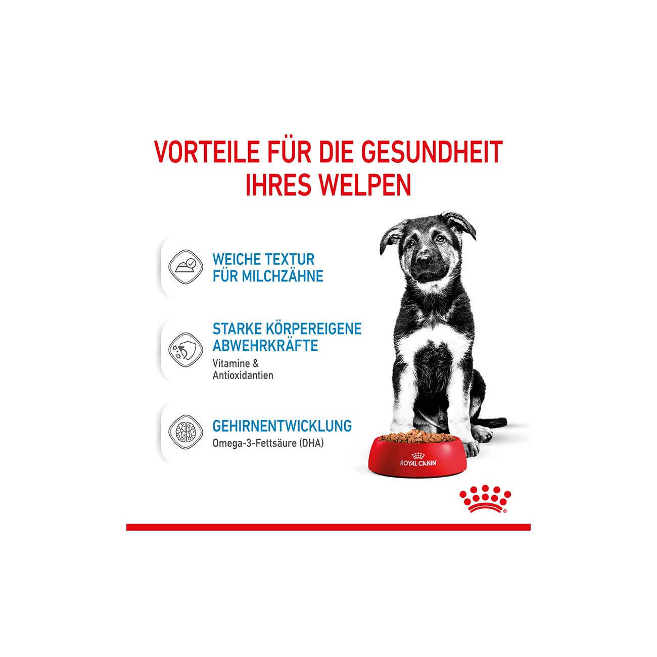 ROYAL CANIN Maxi Puppy 10x140g