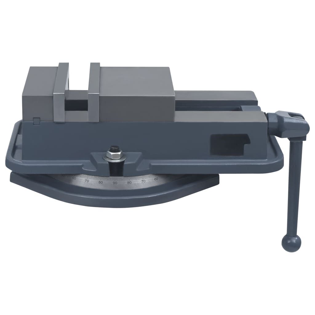 vidaXL Draaibare bankschroef, gietijzer, 160 mm
