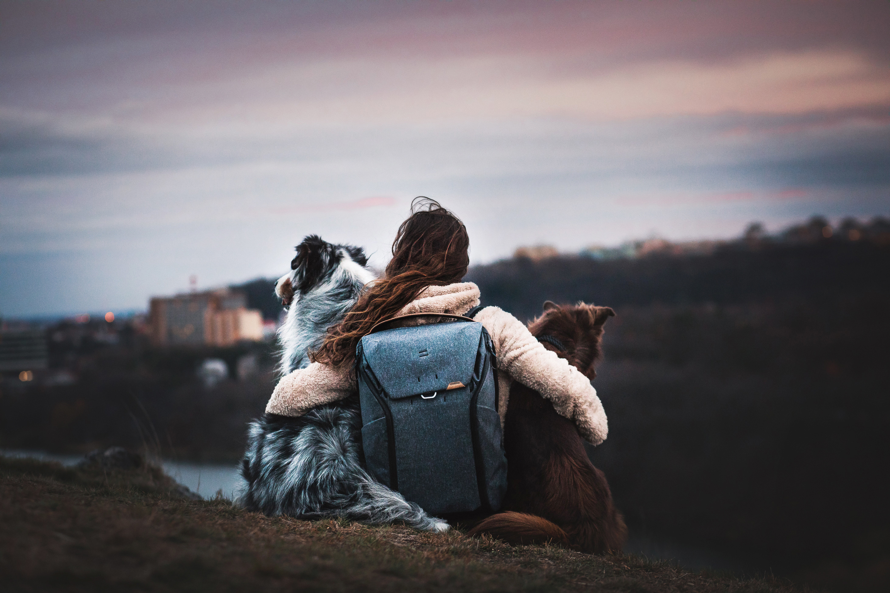 Everyday Backpack 20L