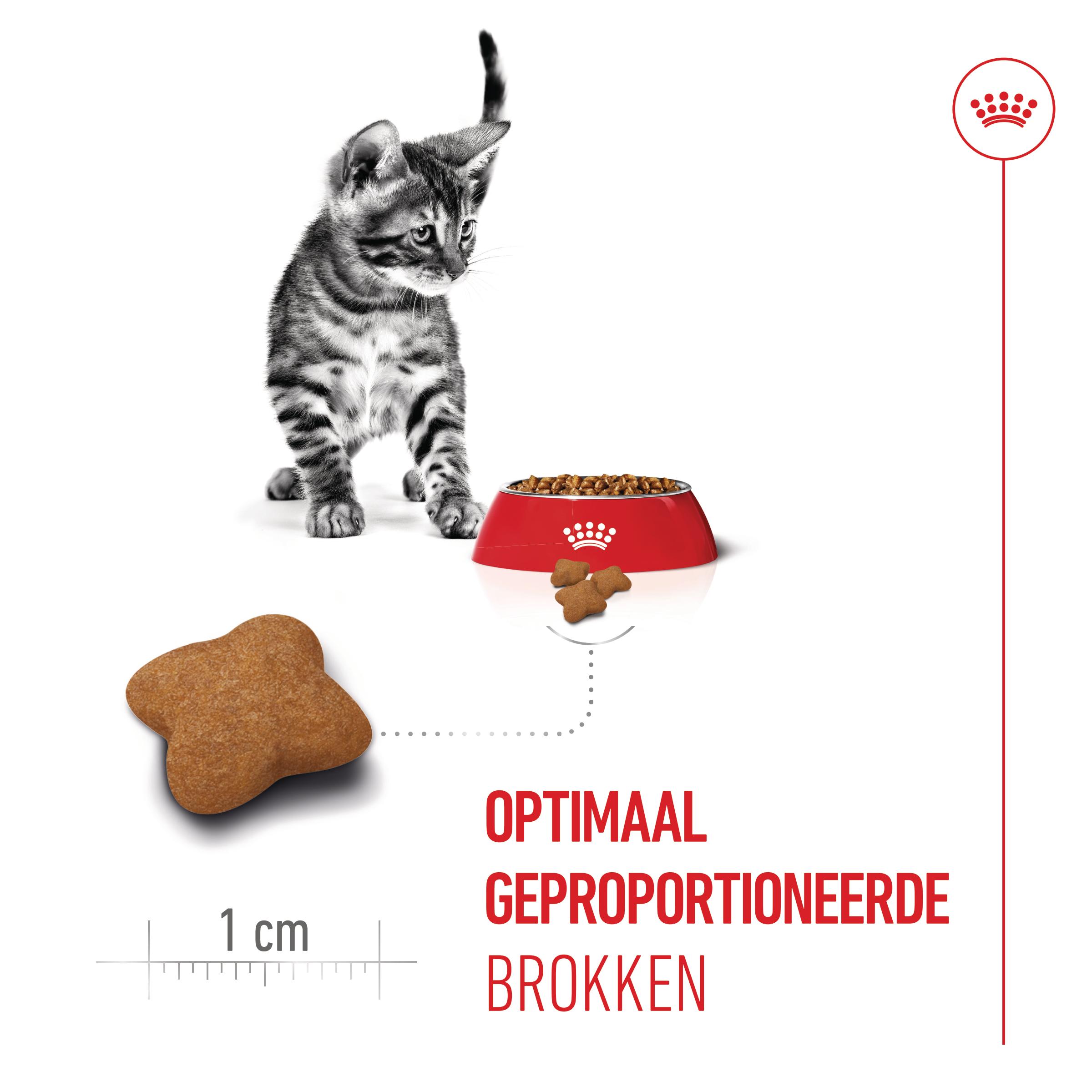 Royal Canin Kitten Sterilised - Kattenvoer