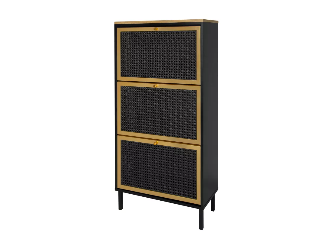 Haobosic - Meuble à chaussures avec trois portes et structure en métal tissé rotin, double étagère à chaussures, 60 cm, avec panneau arrière,noir