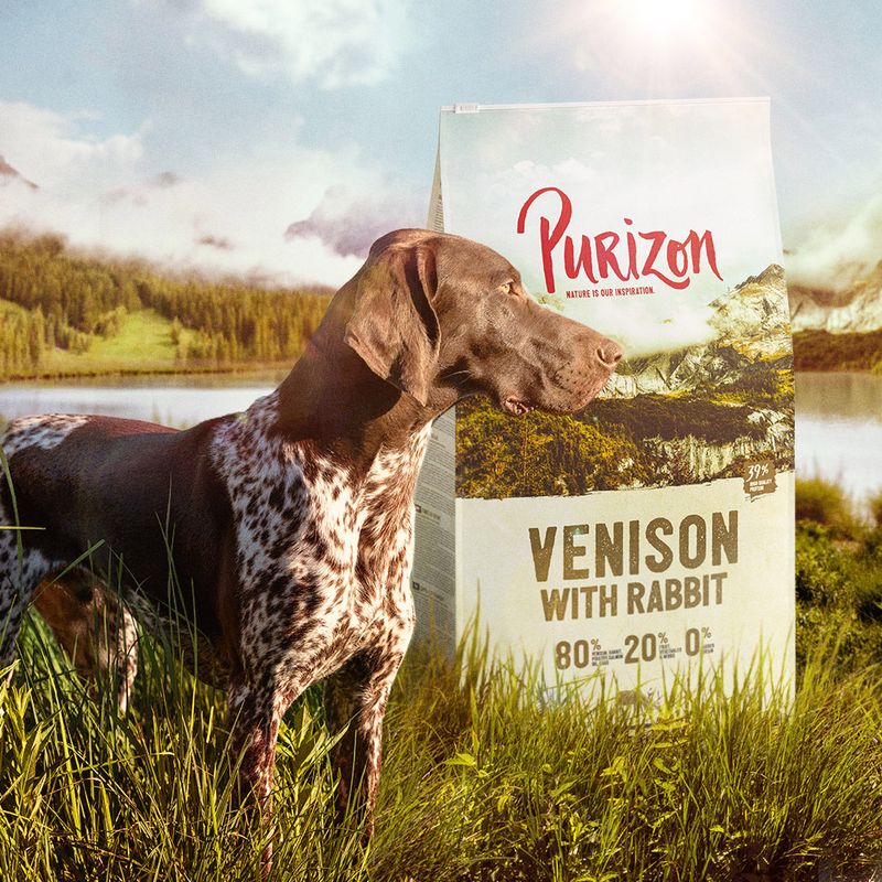 Purizon Adult gibier, lapin - sans céréales