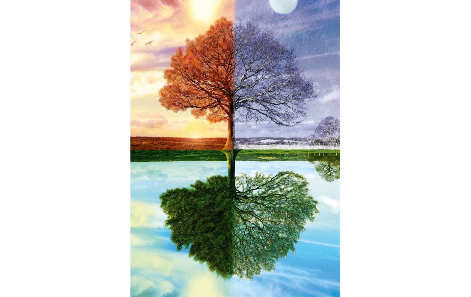 Puzzle Jahreszeiten-BaumPuzzle mit 500 Teilen