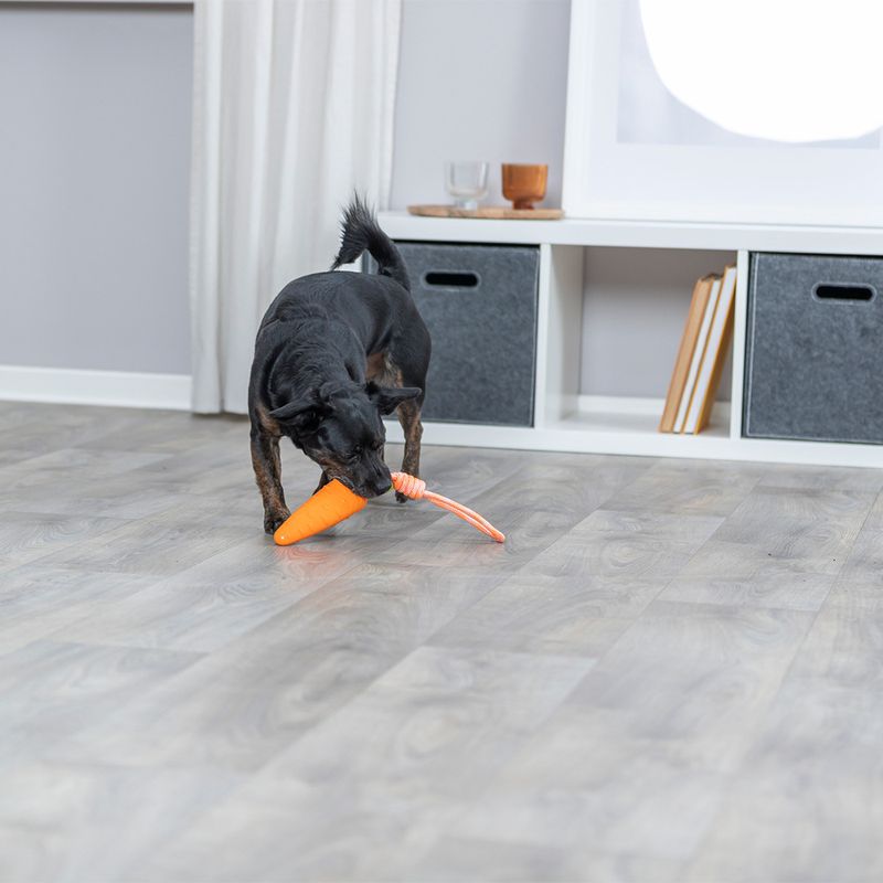 Jouet Trixie Carotte en corde pour chien