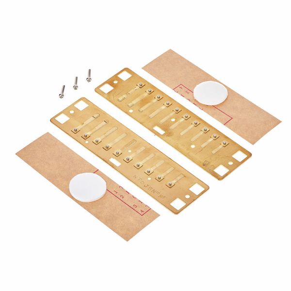 Lee Oskar Natural Minor Reedplates F#