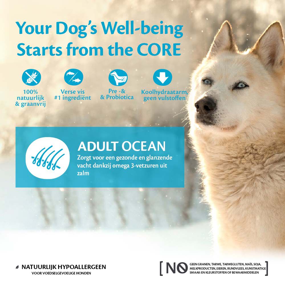 Wellness CORE Adult Ocean Medium-Large- Breed - Hondenvoer - 10 Kilogram - tonijn, zalm