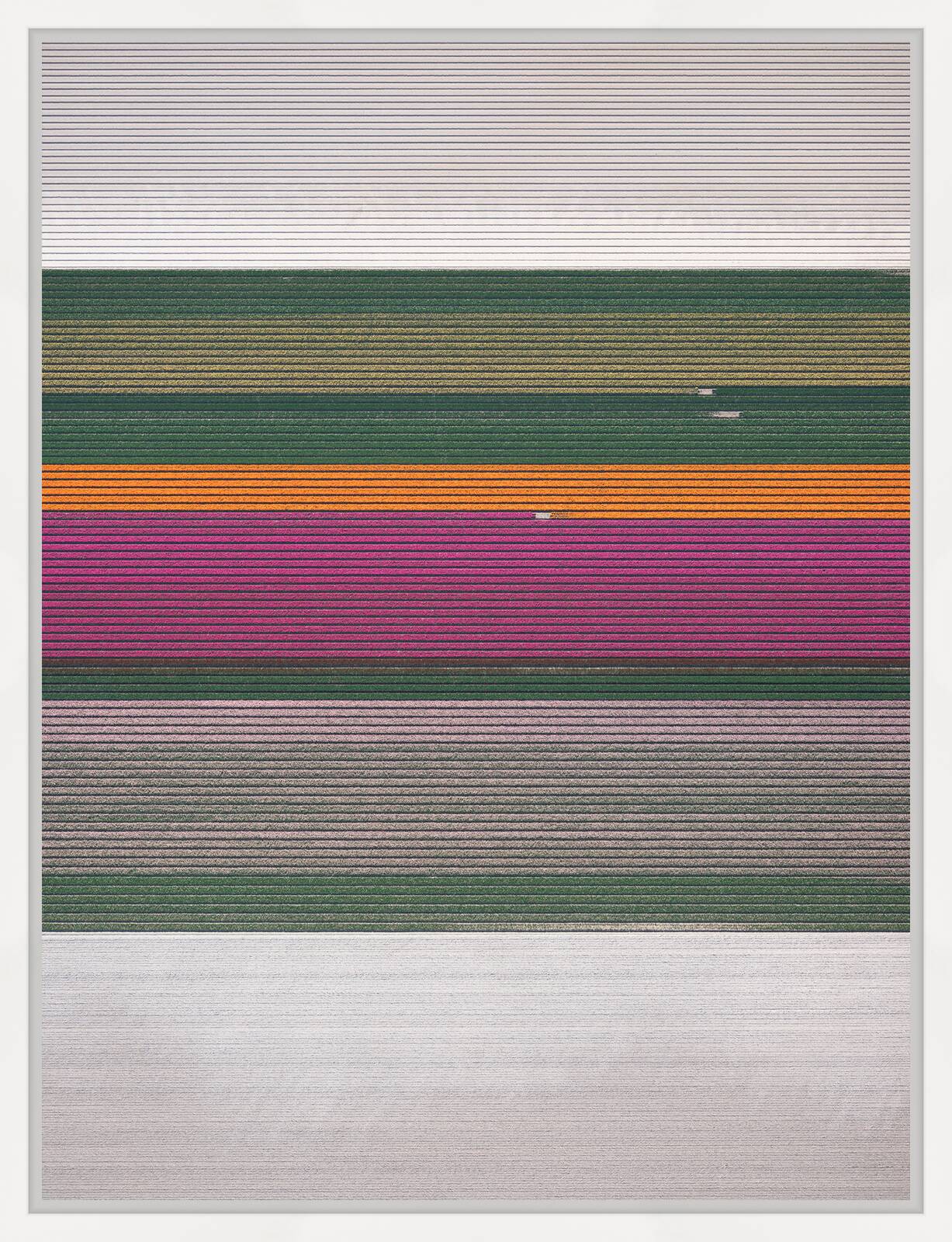 In Full Bloom II by Kevin Krautgartner - Limited Edition. Edition of: 150. Signed.