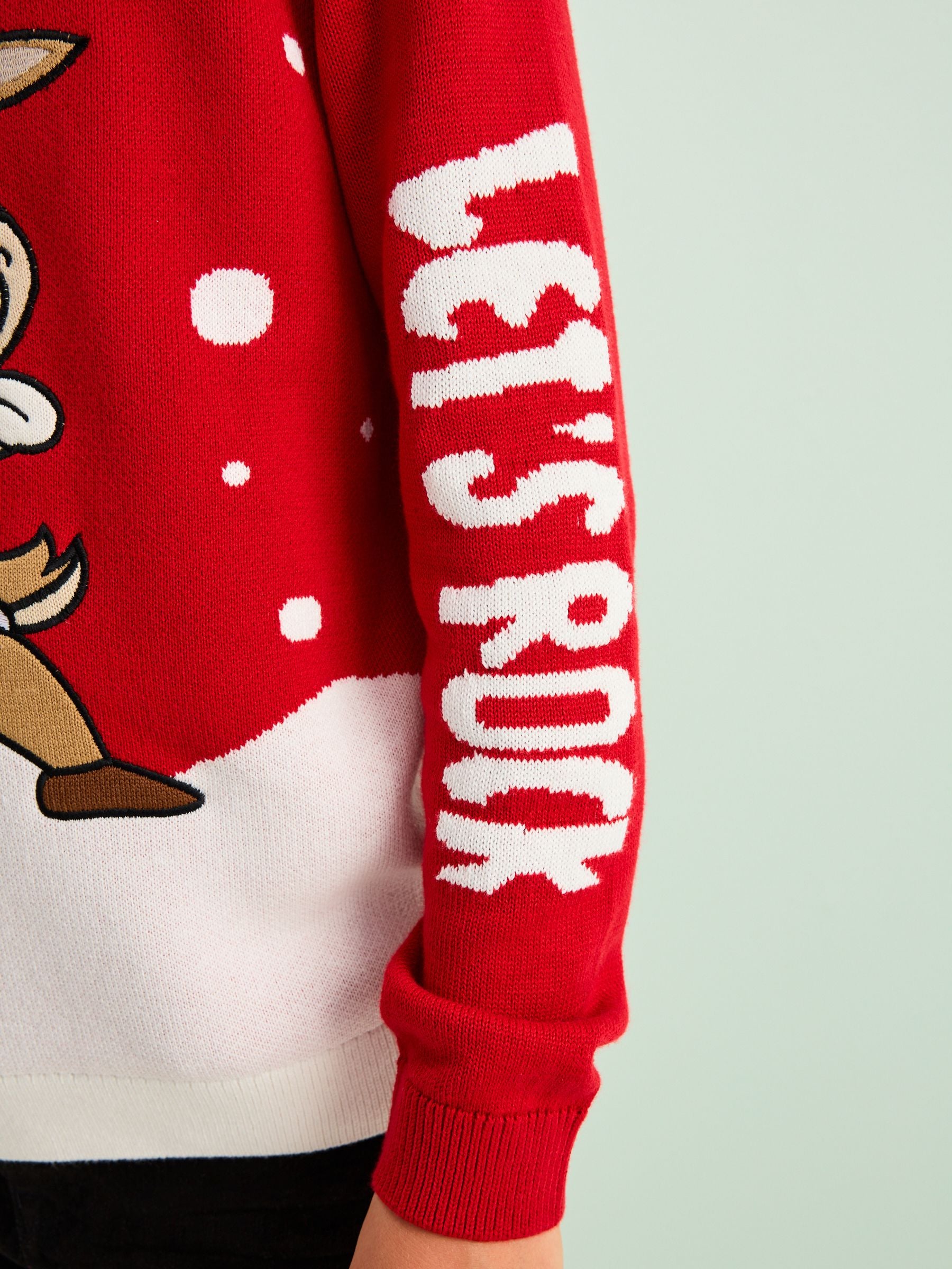 Rood rendier - Kersttrui (3 - 16 jr)