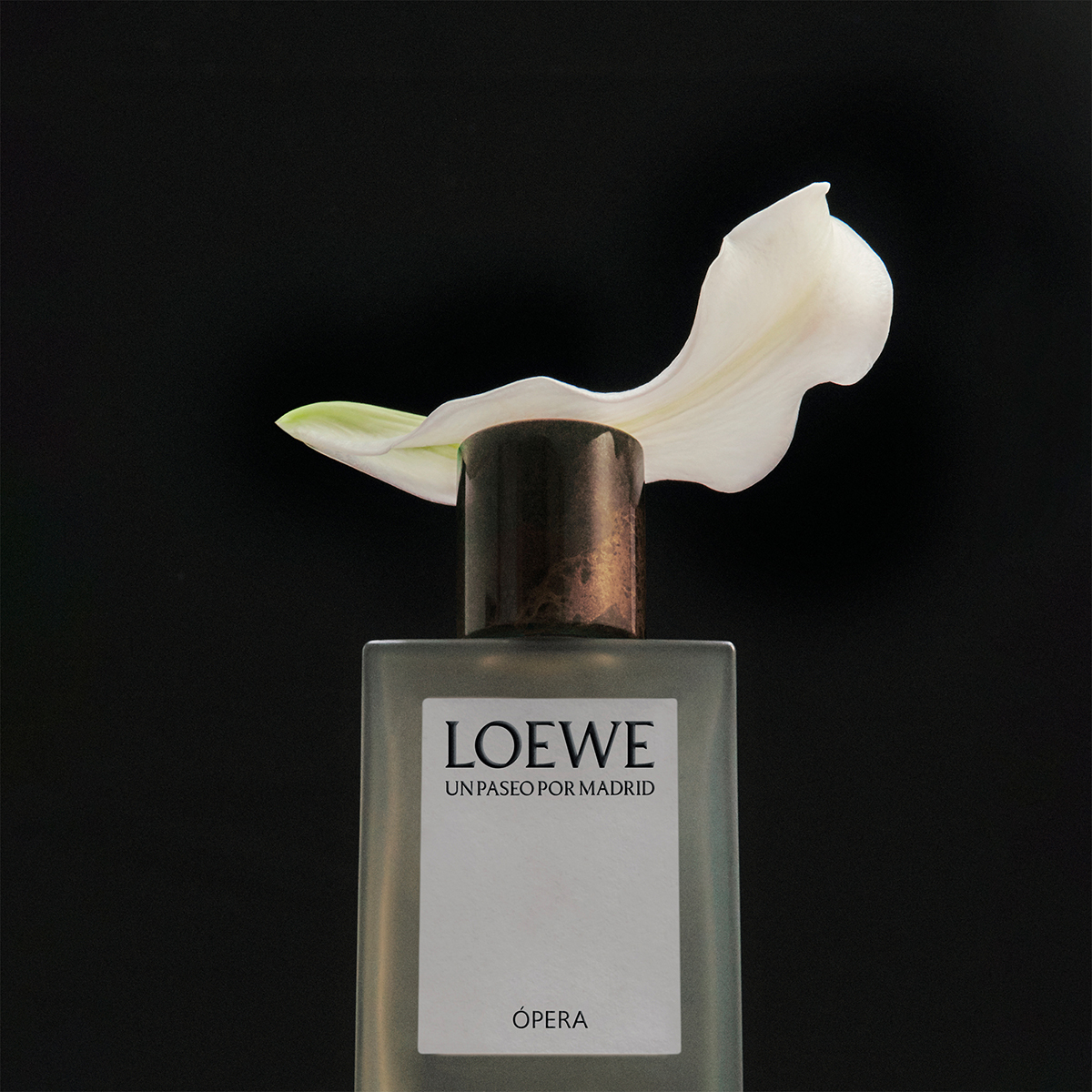 Opera En El Teatro Real Eau de Parfum 100ml