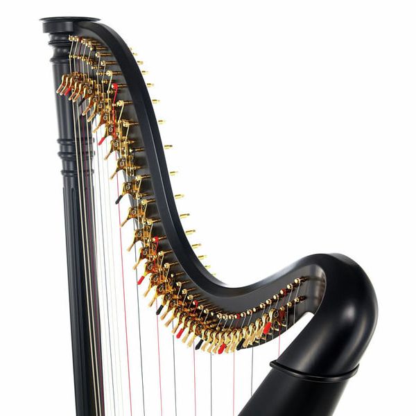 Salvi SALA40-DXEGP Ana Ebony