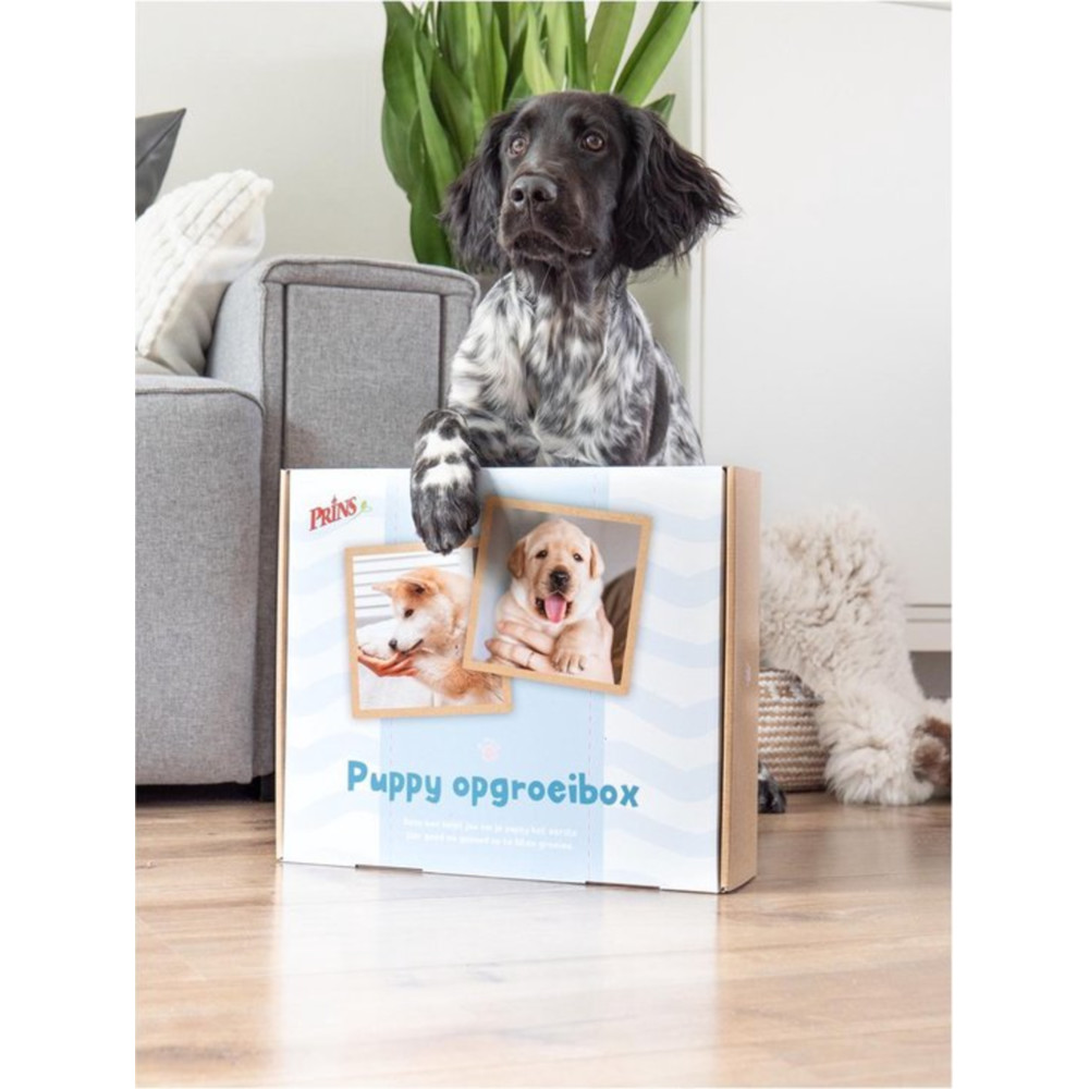 Prins Opgroeibox Protection Croque Mini Junior