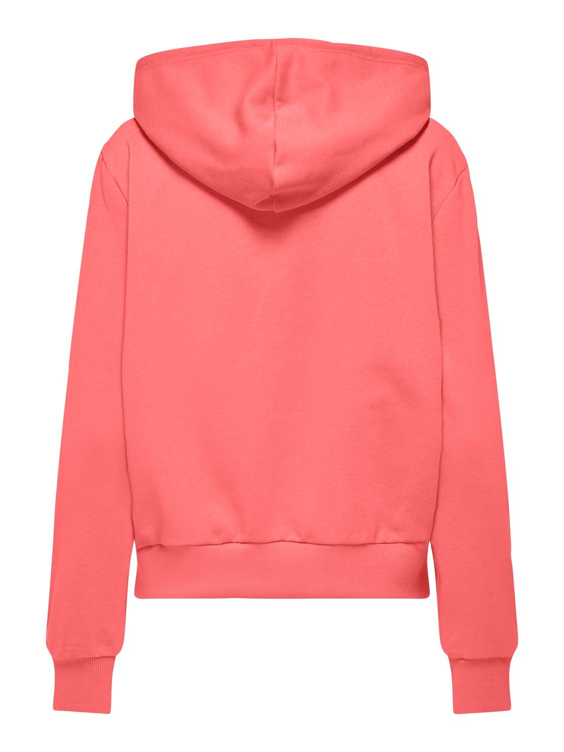 ONLNOLI Sweatshirt Dubarry