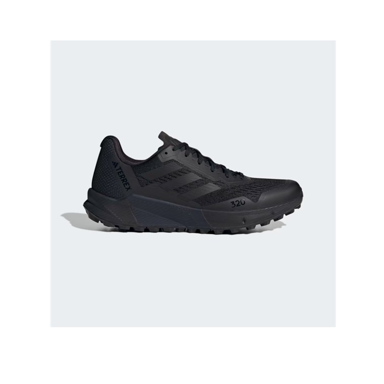 Adidas Terrex Agravic Flow 2 GTX W