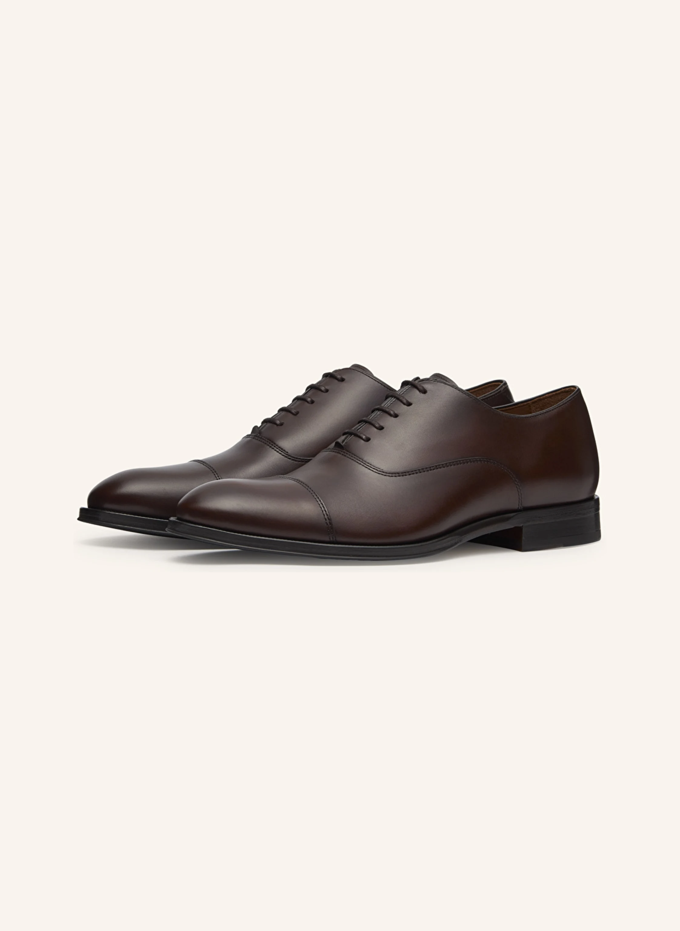 LOTTUSSE Oxfords LENOX