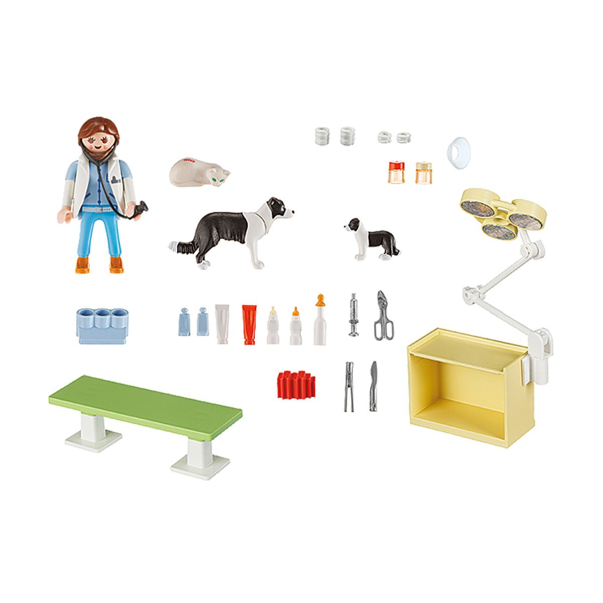 Valisette Vétérinaire Playmobil City Life 5653