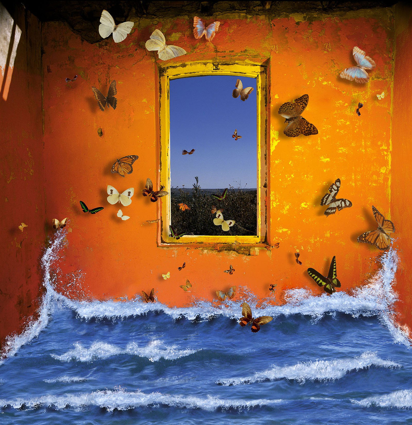 Oleaje y mariposas by Rosa Muñoz - Limited Edition. Edition of: 150. Signed.