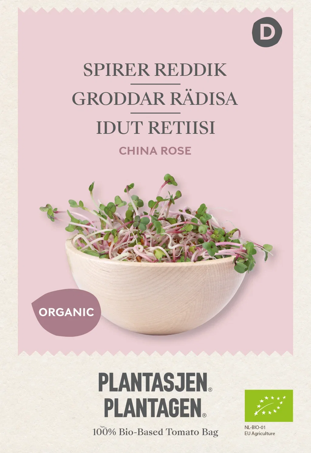 Raphanus sativus Spirer Reddik 'China Rose'