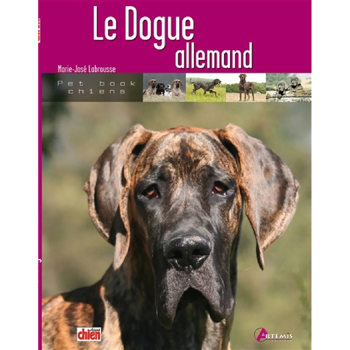 Le dogue allemand · Occasion
