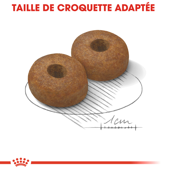 Croquettes chien grande taille de +8 ans Maxi Ageing 8+ 15kg