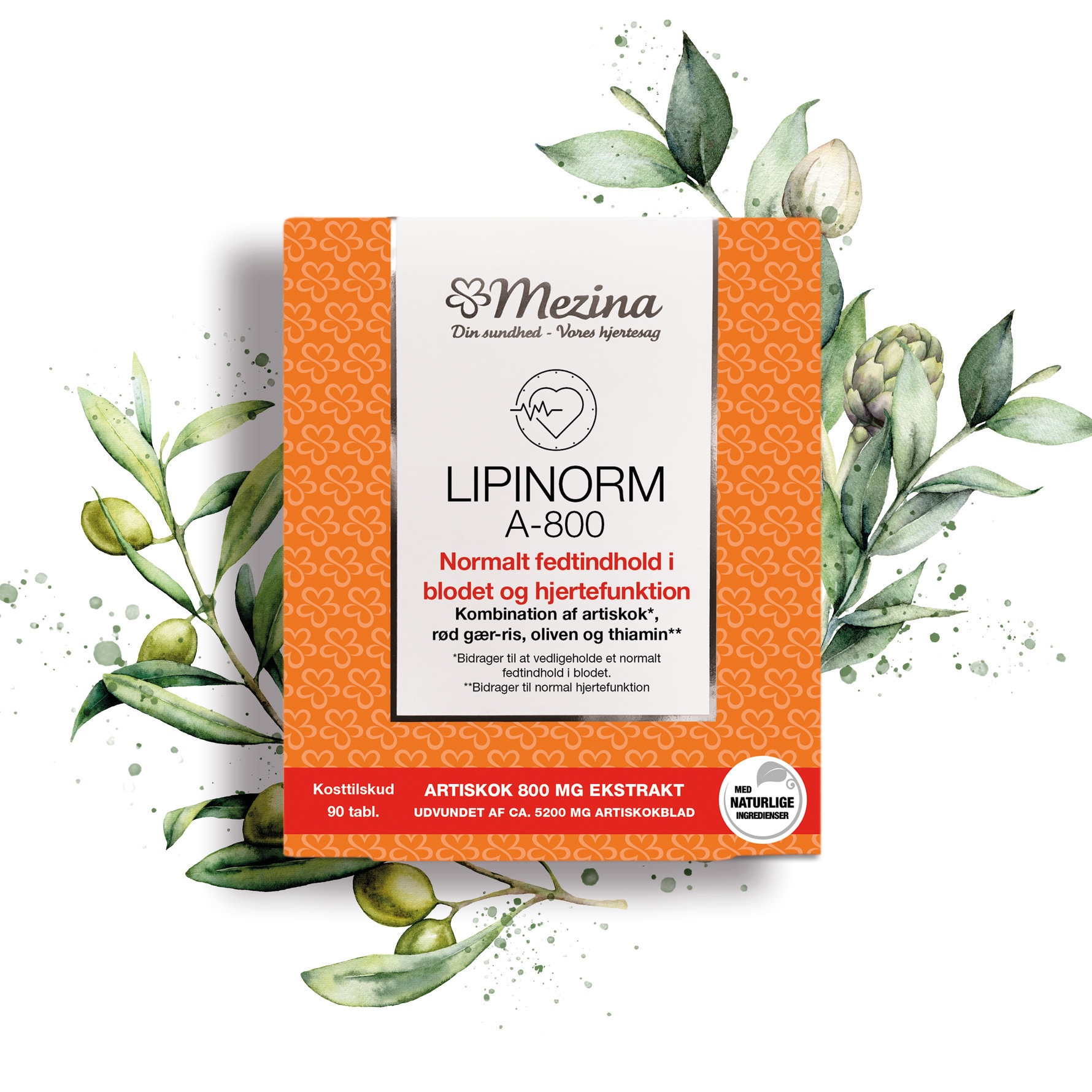 Mezina Lipinorm A-800 90 tabl.