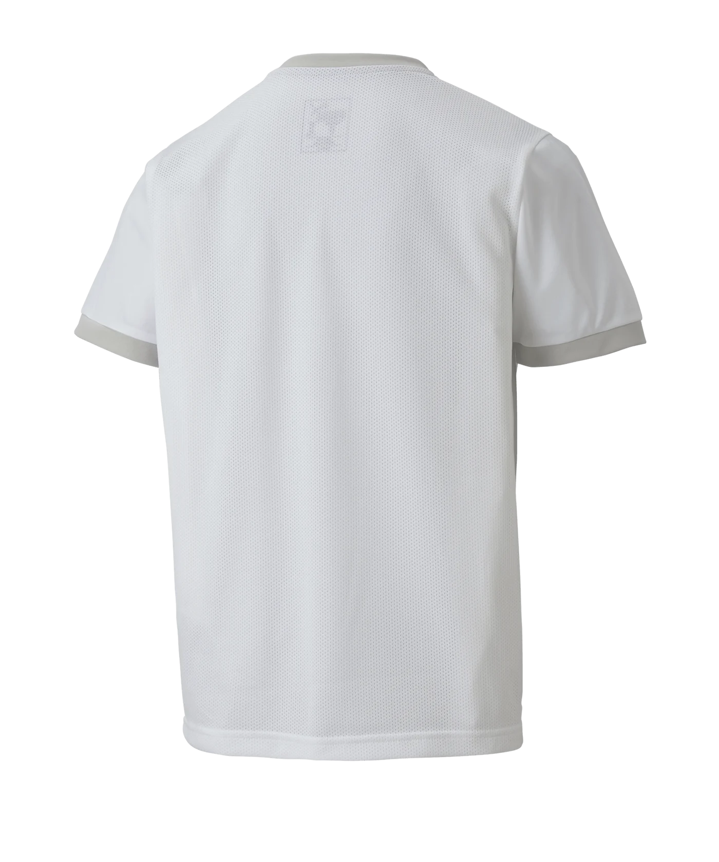 PUMA teamGOAL 23 Trikot kurzarm Kids Weiss F04