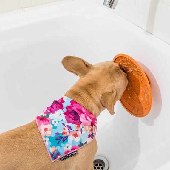 Splash Schlecktrichter Orange - LickiMat