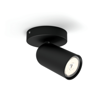 Philips opbouwspot Pongee zwart