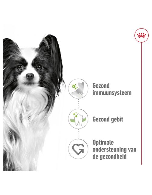 Royal Canin X-Small Adult - Hondenvoer