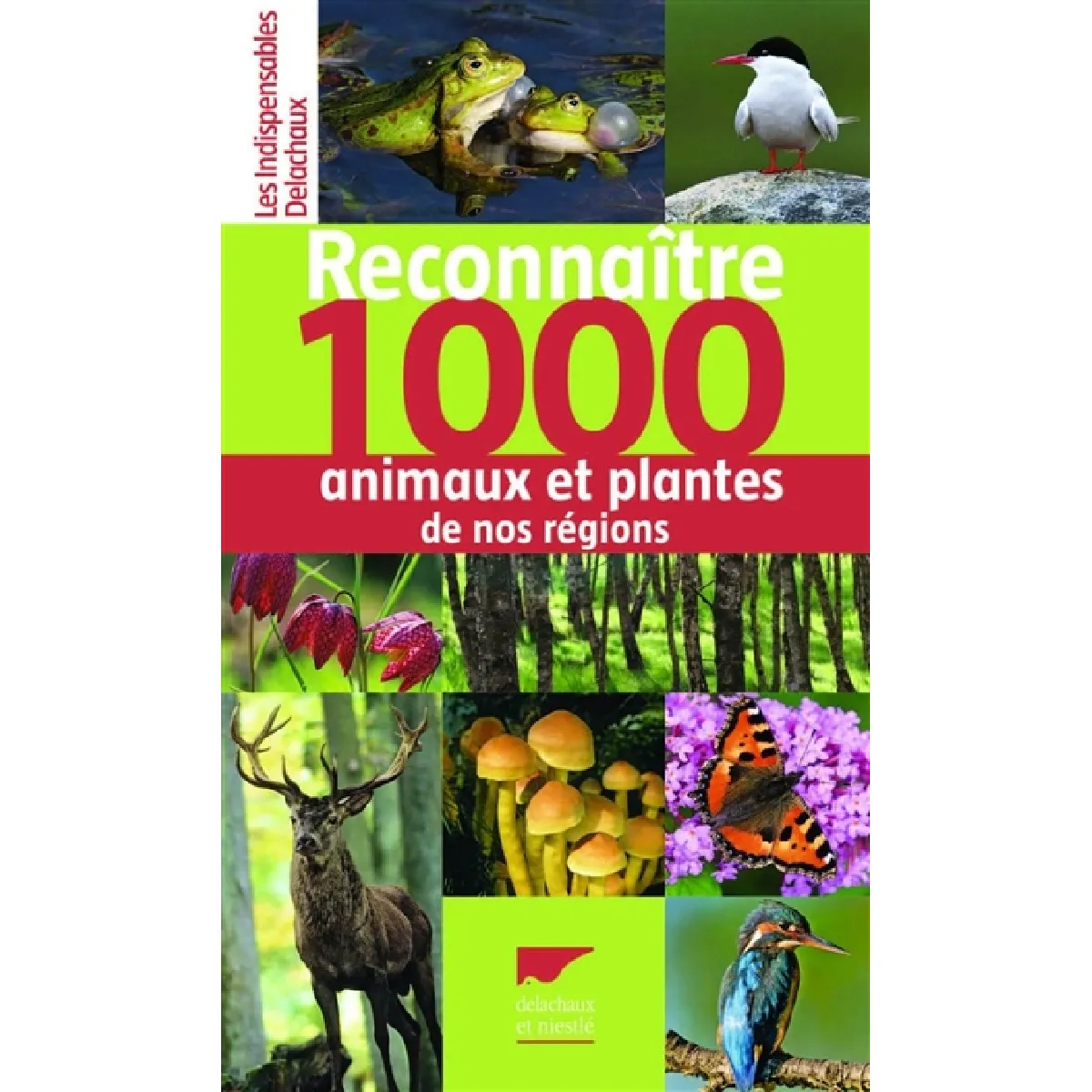 Reconnaître 1.000 animaux et plantes de nos régions · Occasion