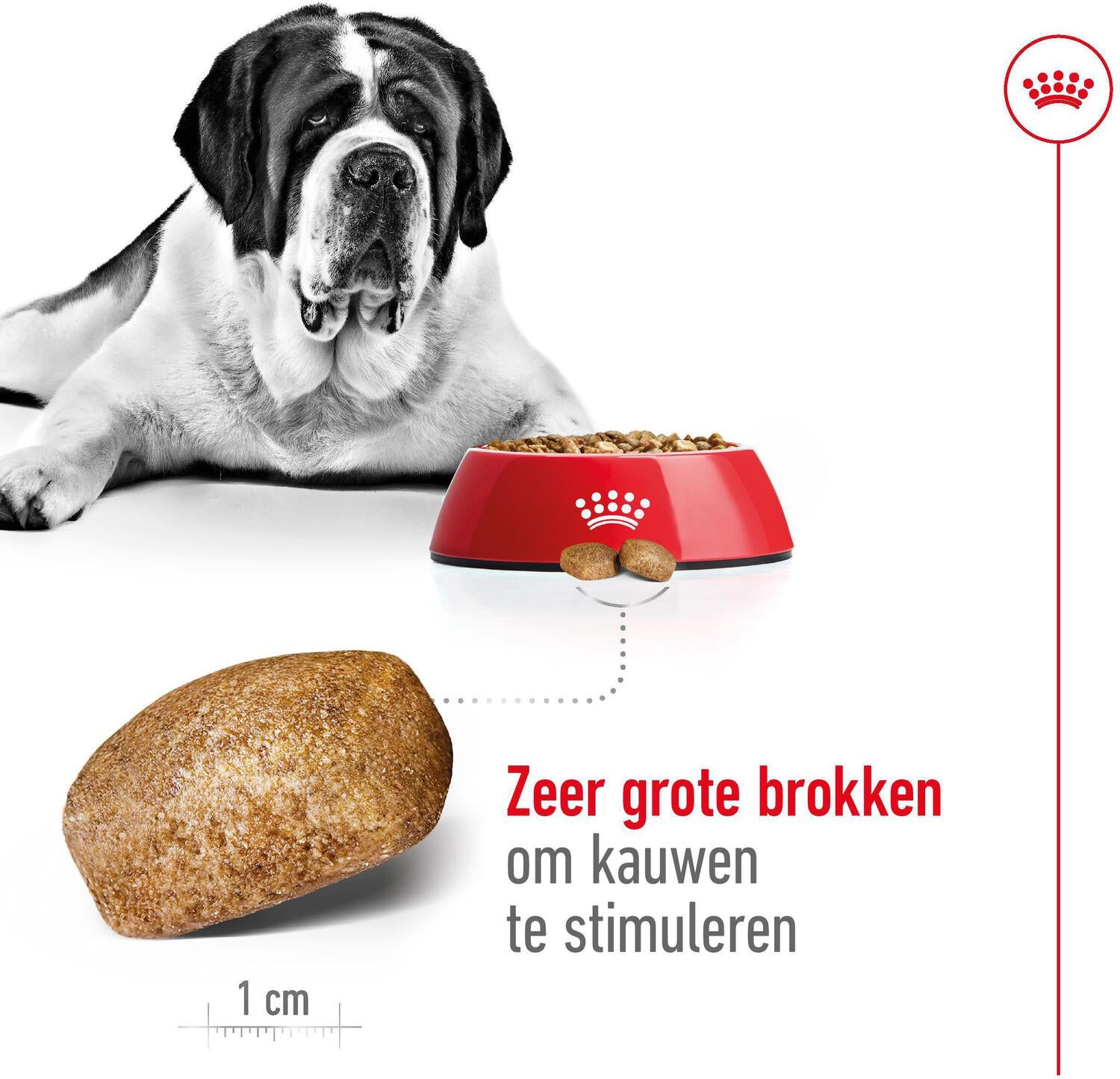 Royal Canin hondenvoer Giant adult 15 kg