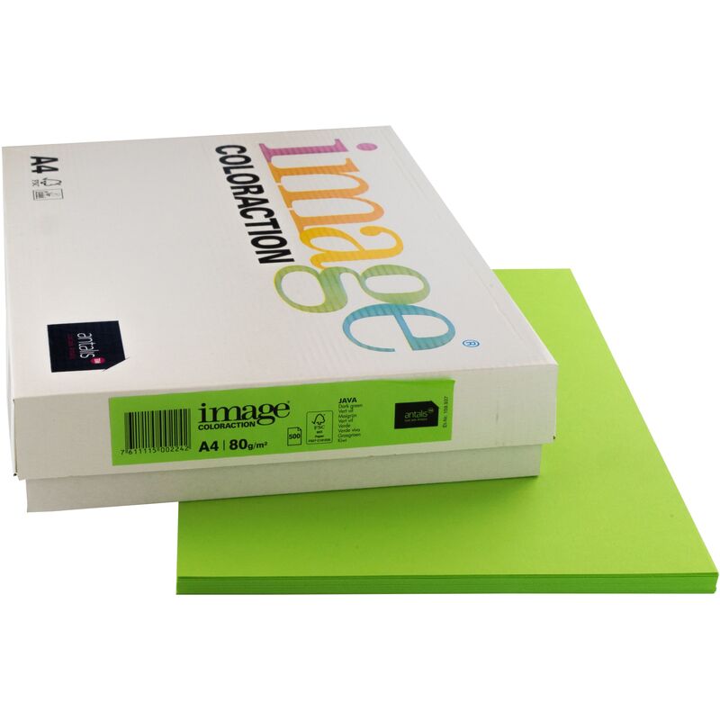 Image Coloraction Papier farbig, A4, 80 g/m², java maigrün