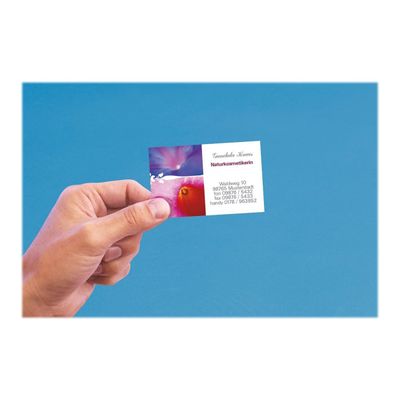 Avery - Papier pour 250 cartes de visite micro perforées 85 x 54 mm - 180 g/m² - impression jet d'encre - 25 feuilles