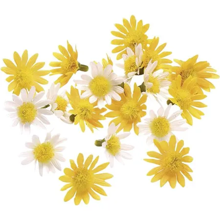 Knorr Prandell Margeritenstreu, 3 cm, gelb-weiss, 20 St/Bt