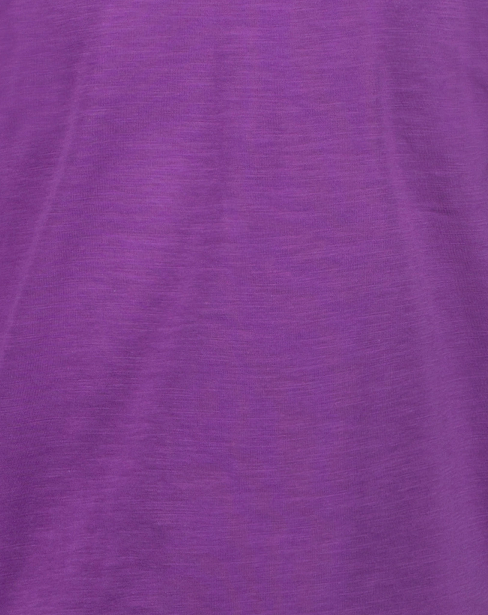 Langarmshirt GOOD TIMES - LEO HEAD in grape
