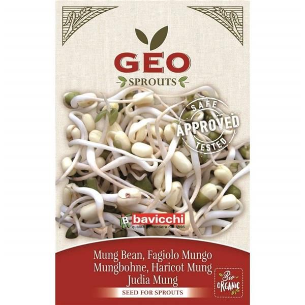 Feijão Mungo - Sementes Para Germinar Bio