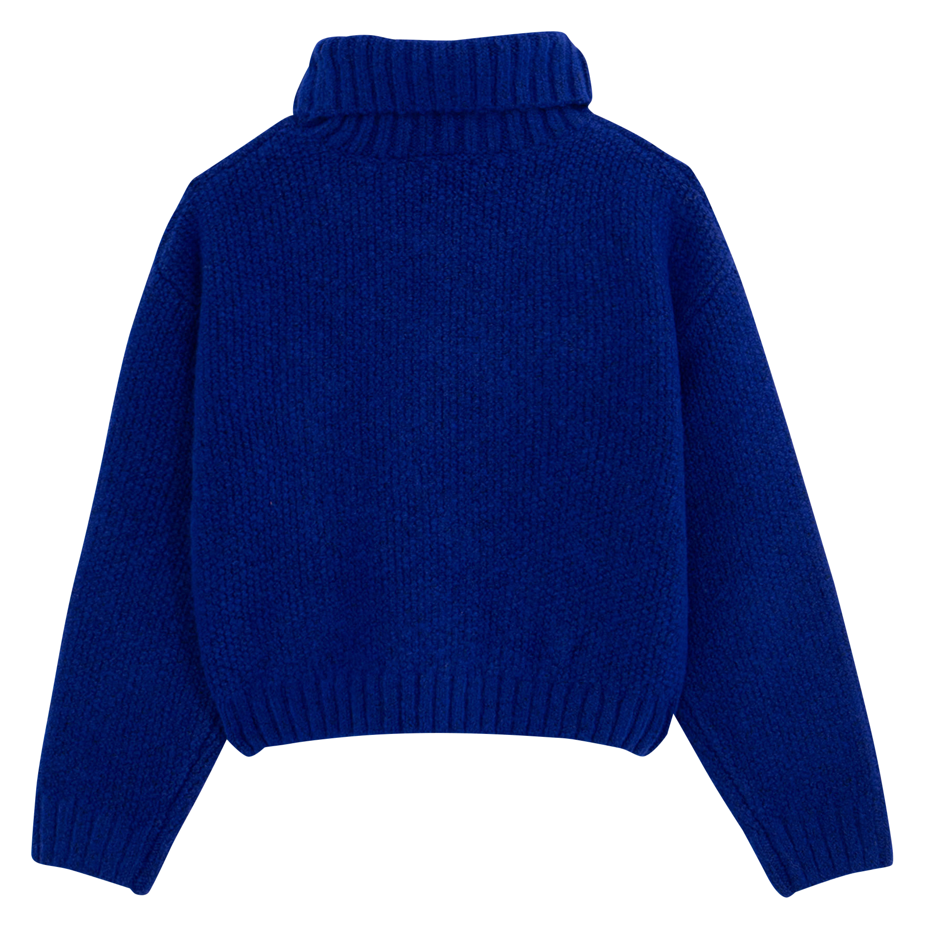 Pull droit col roulé | Bleu