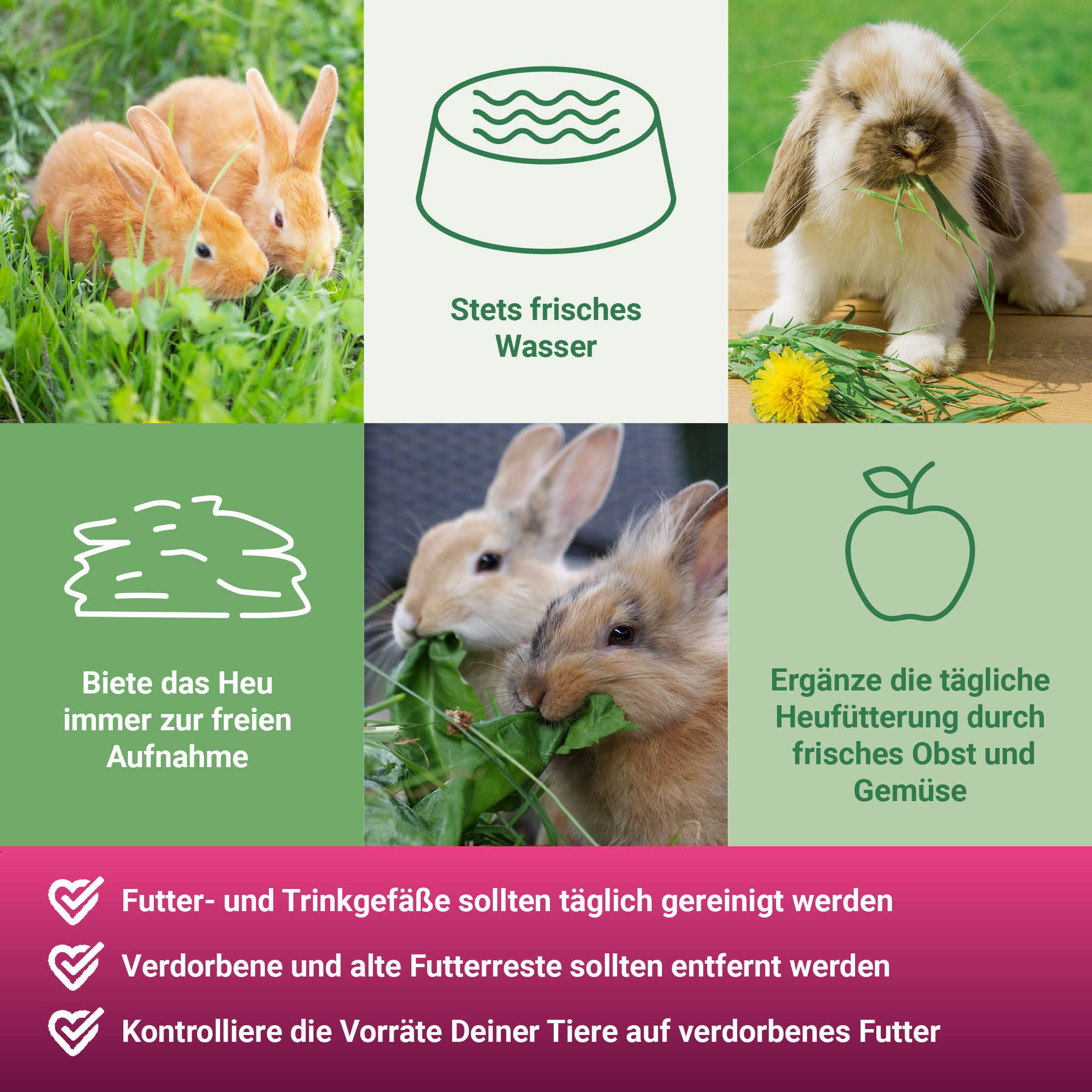 PANTO® Blütenwiese