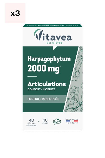 Cures articulations - Harpagophytum - 4 mois