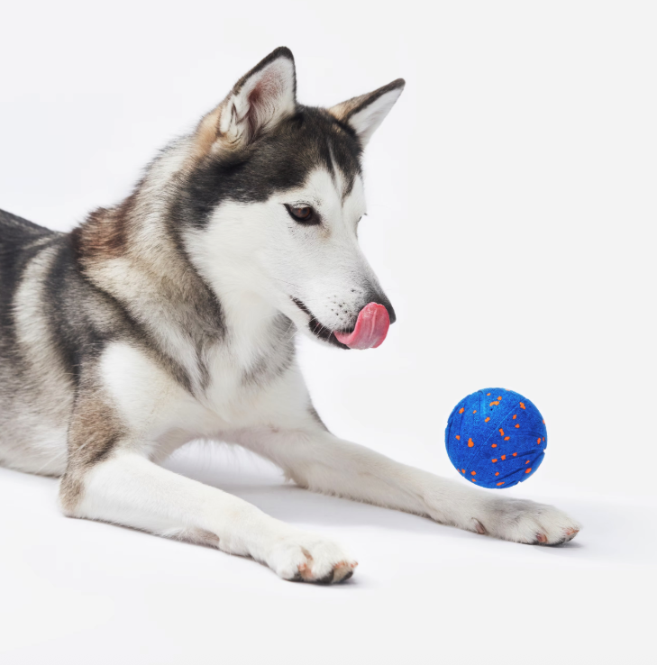 (Ø8cm) Wicked Ball Air Interaktiver Hunde Ball Haustier Spielzeug mit 4 Spiel Modi (01UKWQ0101001) - Blau