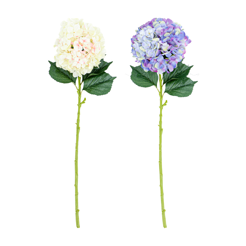 Tige d'hortensia géante