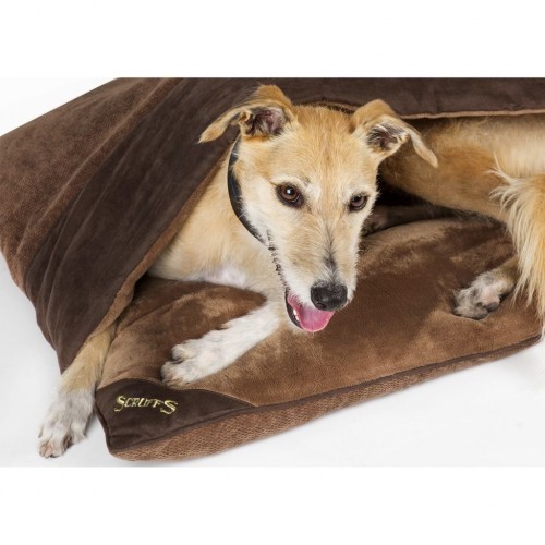 Cama para cães Chester Divan, marrom