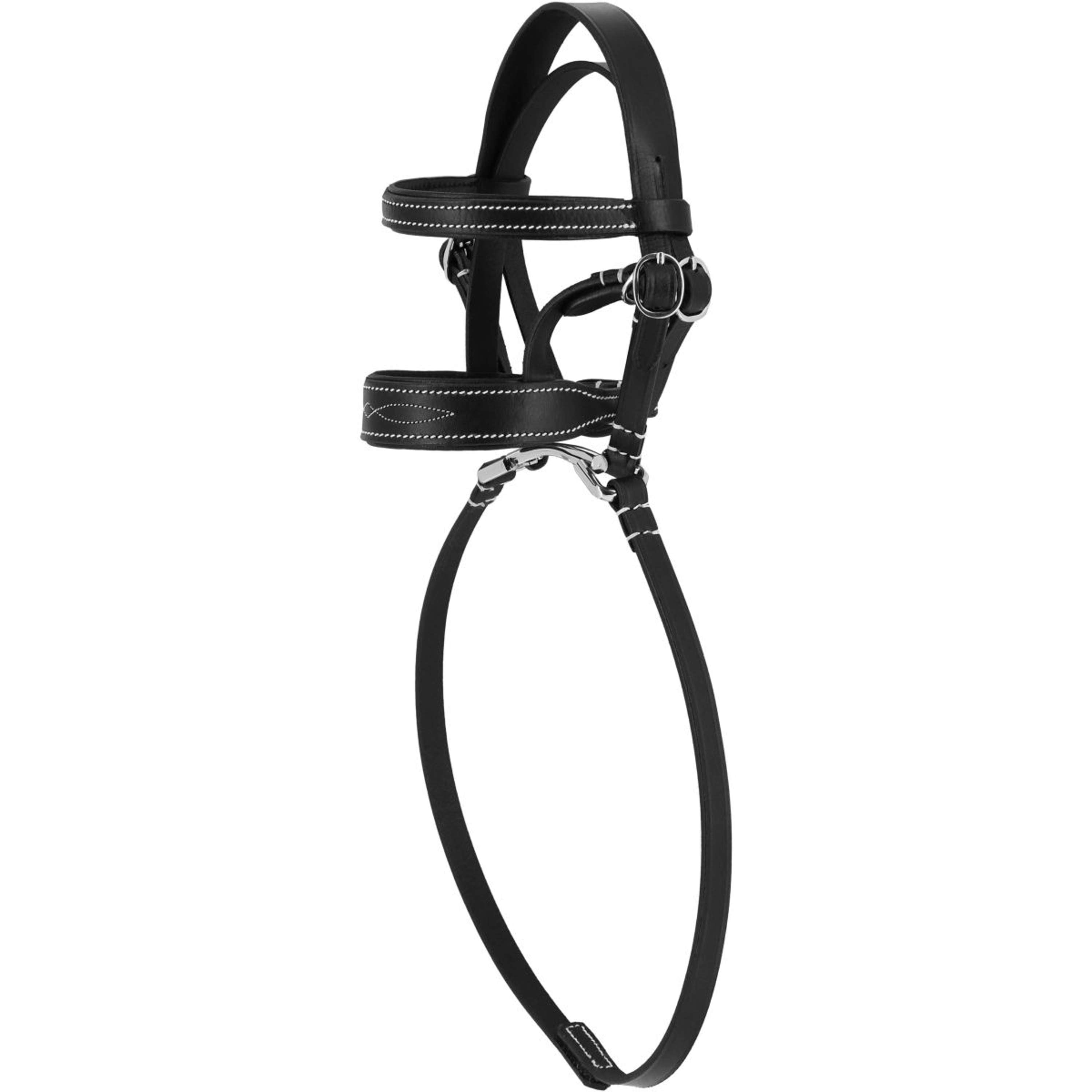 EQUITHÈME Hoofdstel Pony Academy Zwart