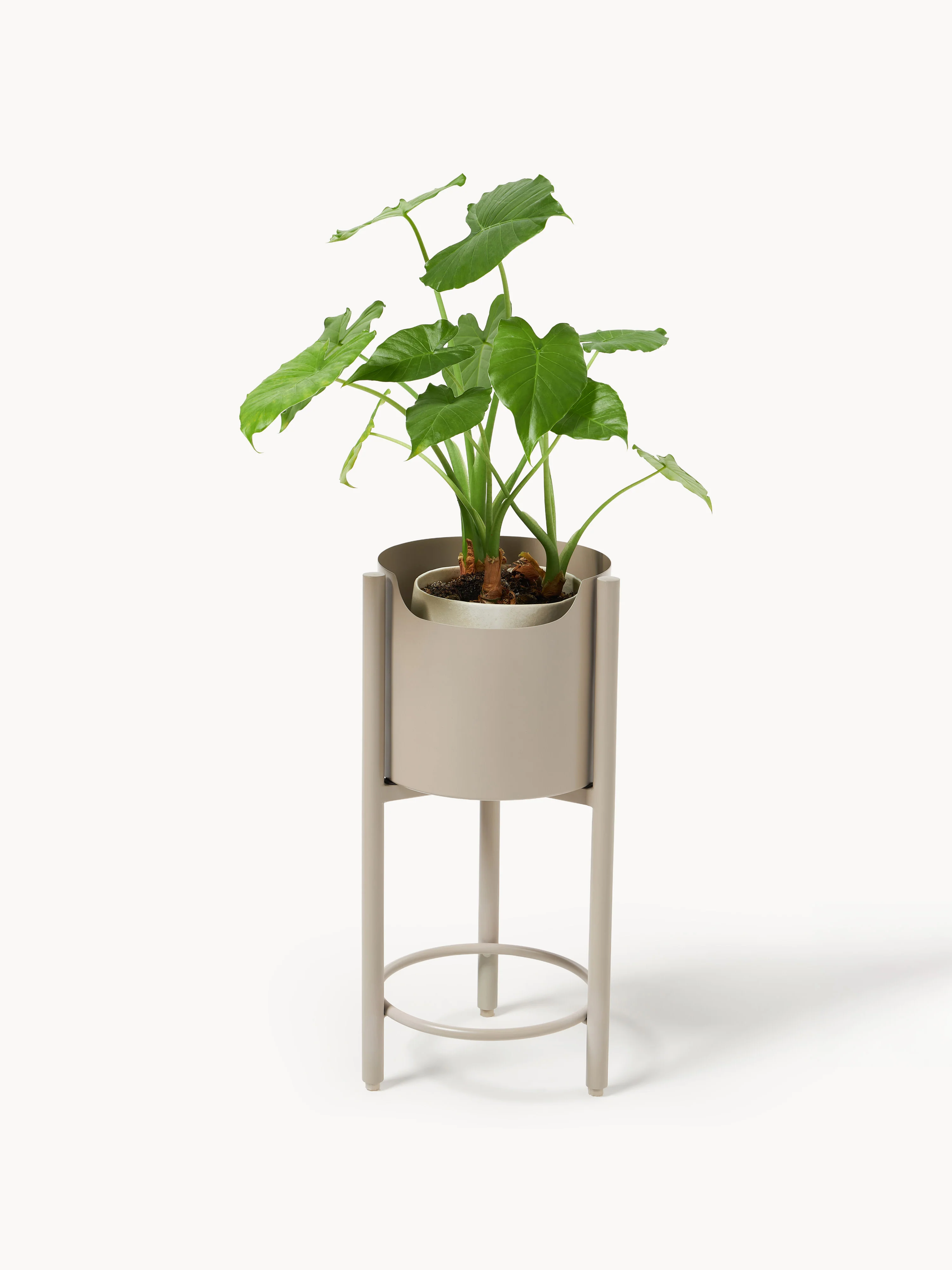 Metalen plantenbak Taru, H 45 cm