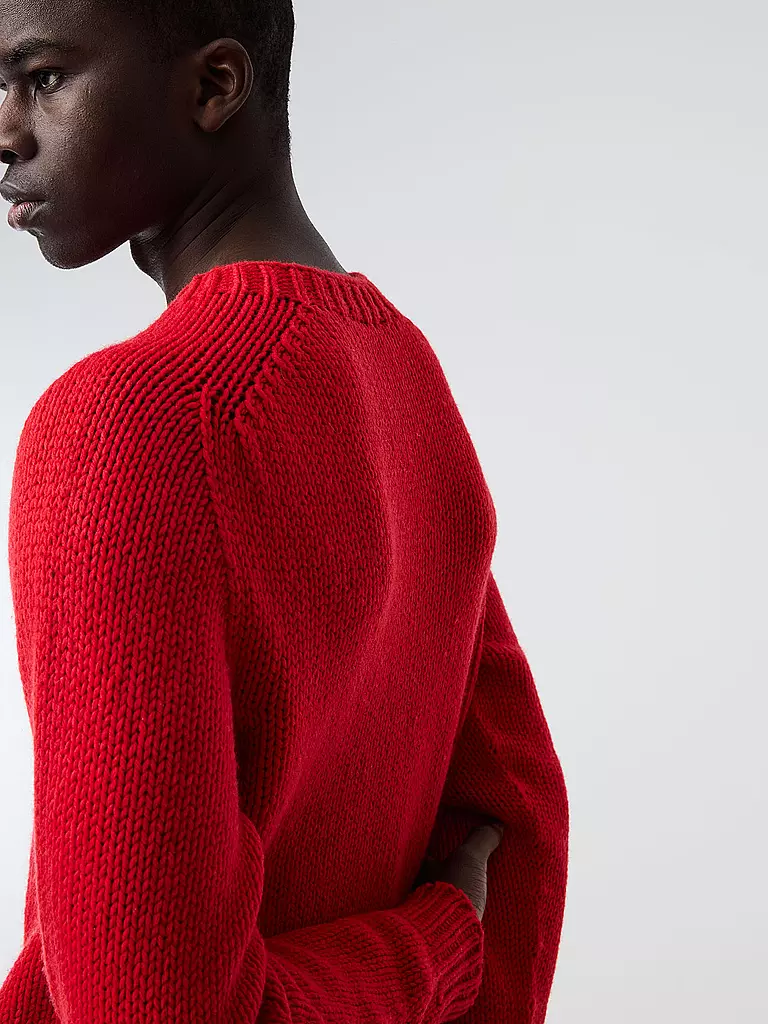 ALPHATAURI Pullover FINAW rot