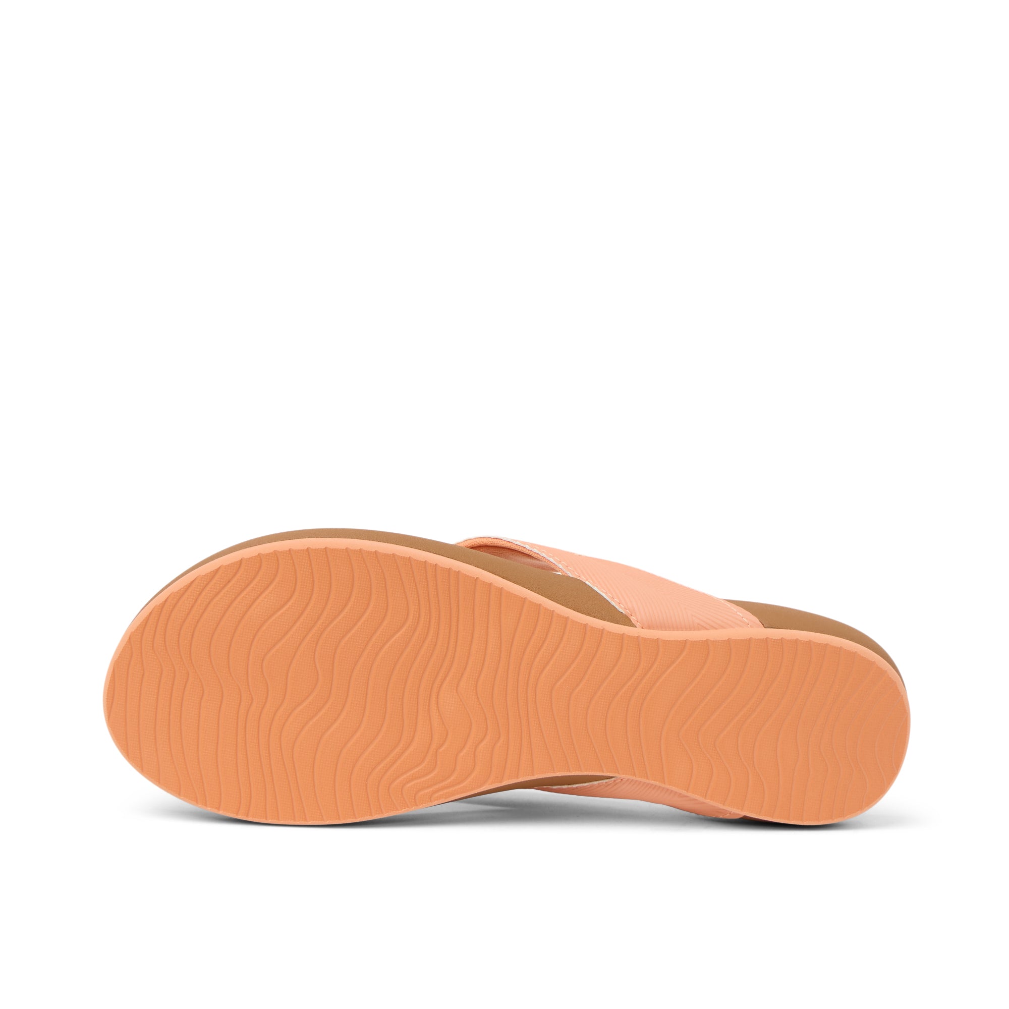 Cushion Melody Canyon Sunset Lion