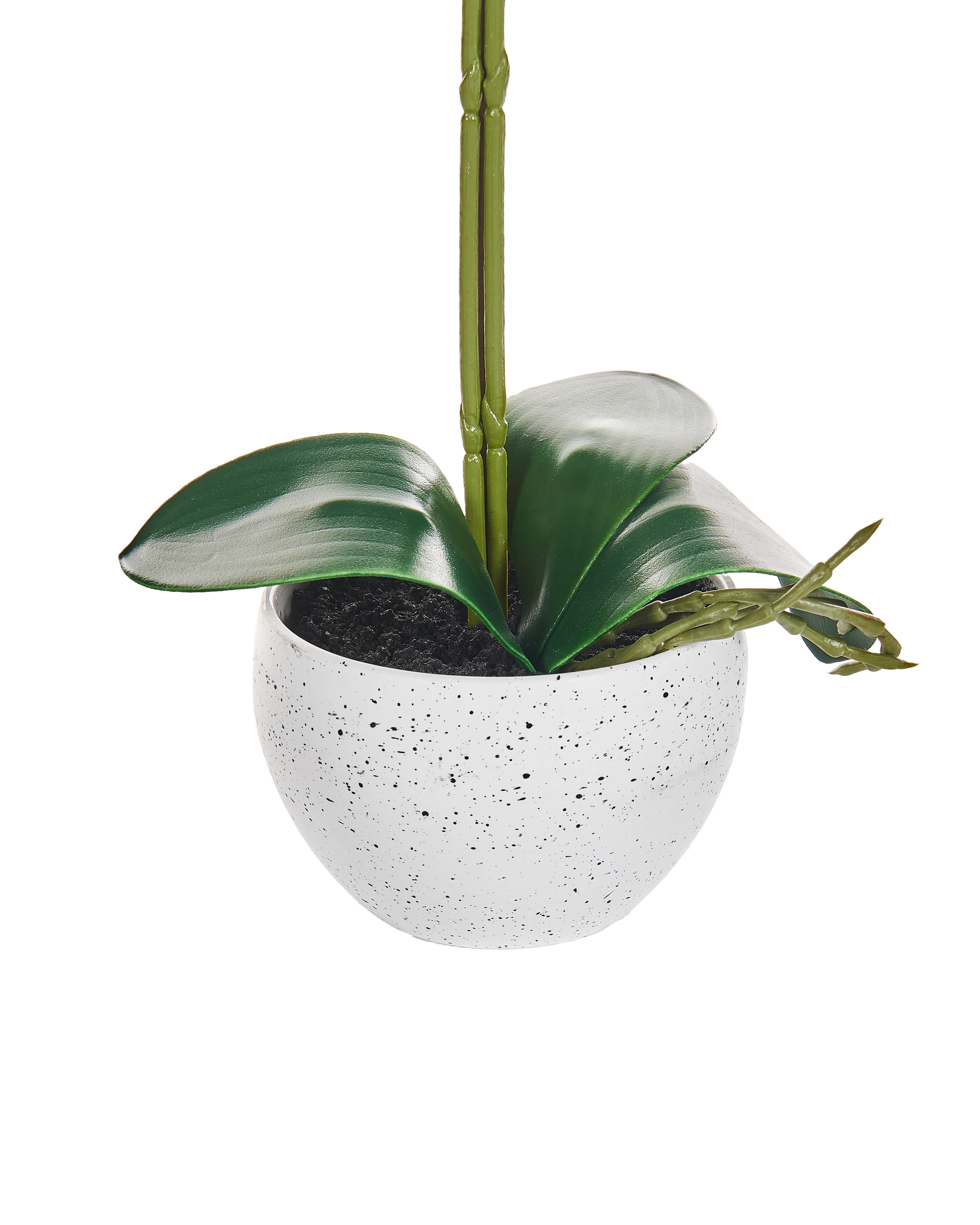 Kunstplant ORCHID 42 cm Wit
