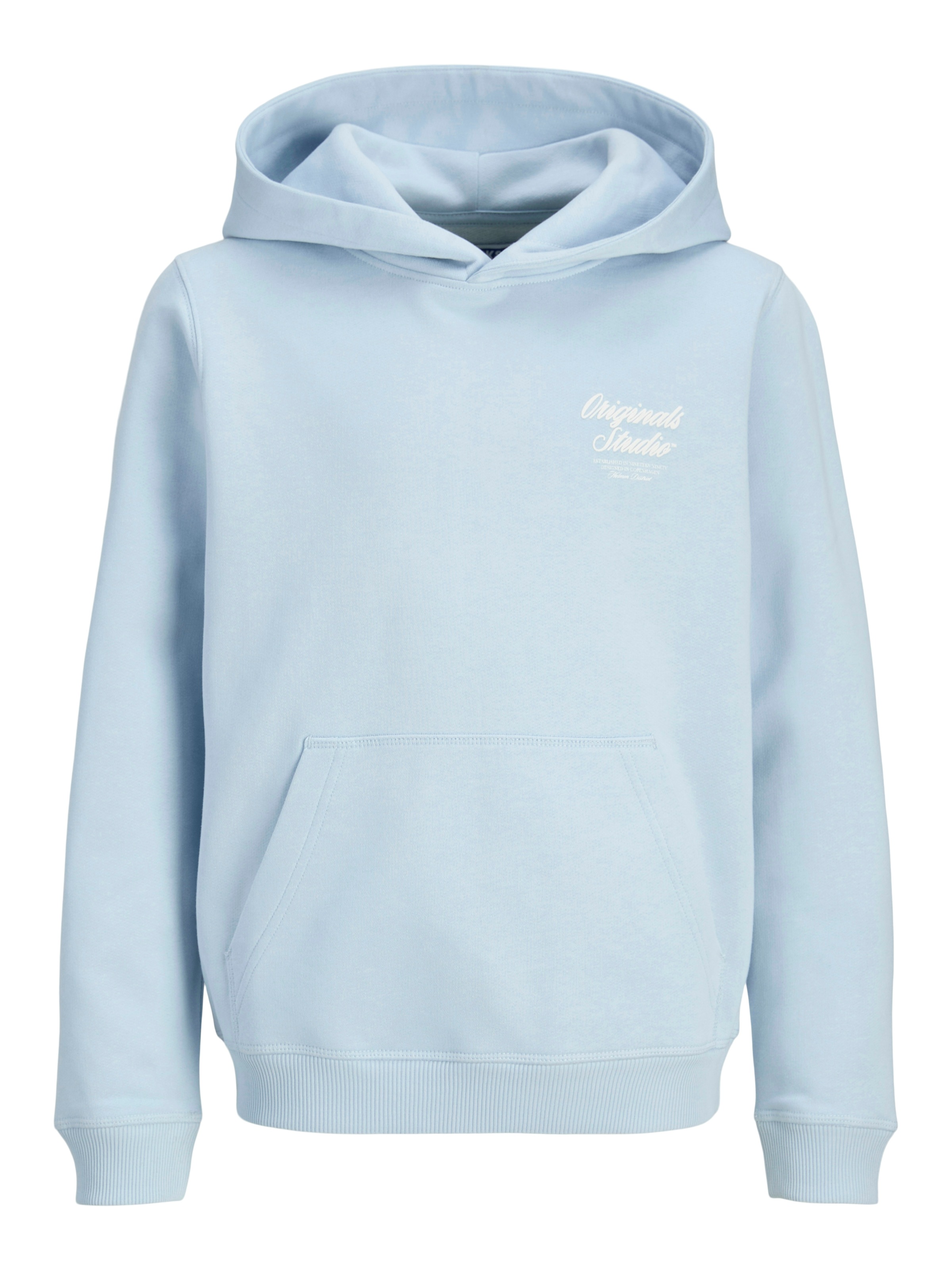 Jack & Jones Junior Kapuzensweatshirt »JORNORREBRO TYPO BACK SWEAT HOOD SN JNR«
