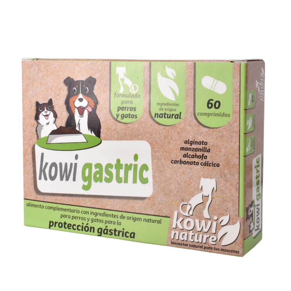 KOWI GASTRIC, 60 COMPRIMIDOS